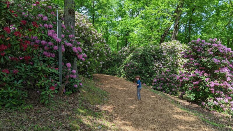 Towns County Park - Hiawassee, GA