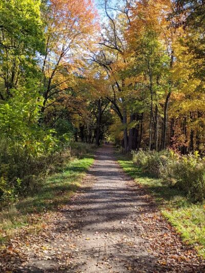 Hidden Pond Woods - Hickory Hills, IL