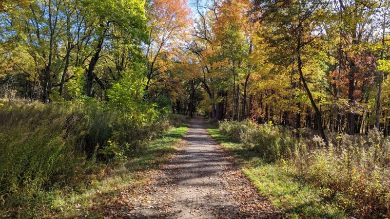 Hidden Pond Woods - Hickory Hills, IL