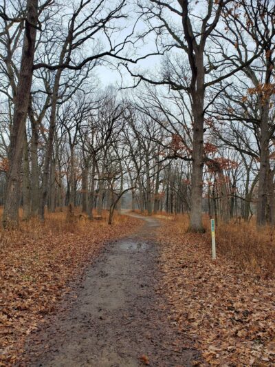 Hidden Pond Woods - Hickory Hills, IL