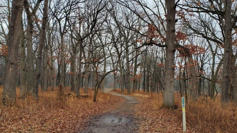 Hidden Pond Woods - Hickory Hills, IL