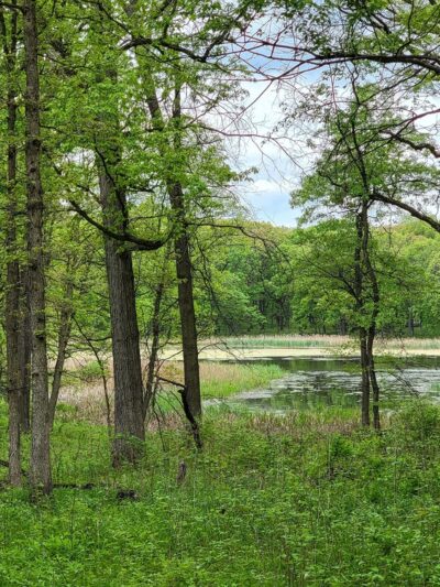 Hidden Pond Woods-East - Hickory Hills, IL