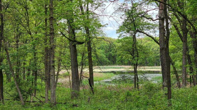 Hidden Pond Woods-East - Hickory Hills, IL