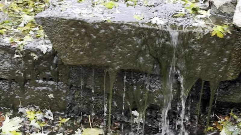Martin Park - Hickory Hills, IL
