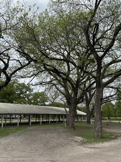 Hico City Park - Hico, TX