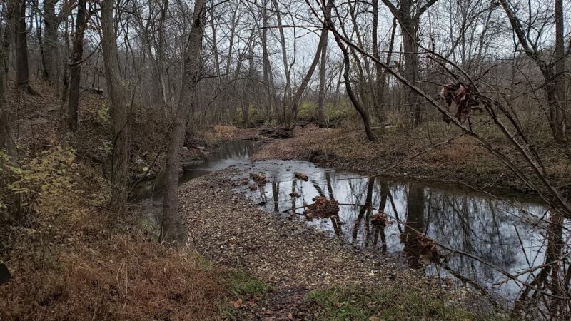 Forest 44 - High Ridge, MO