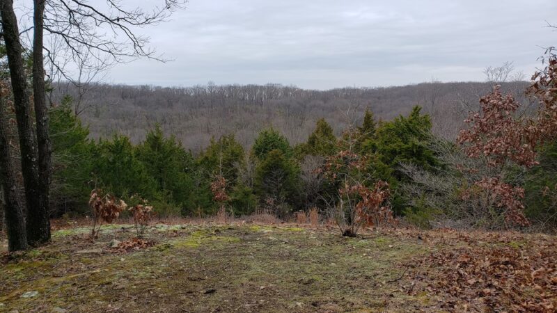 Forest 44 - High Ridge, MO