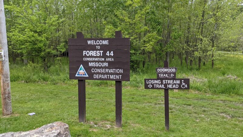 Forest 44 - High Ridge, MO