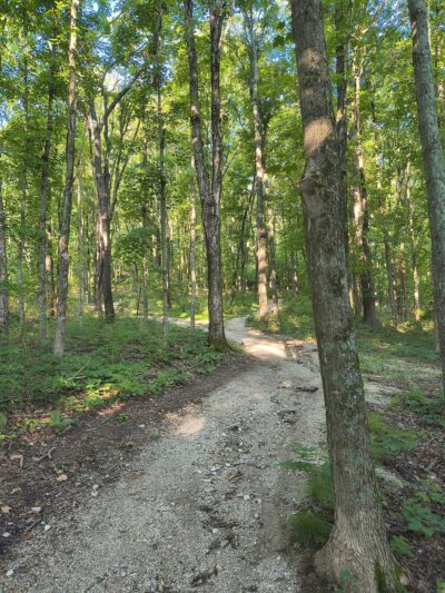 Pleasant Valley Nature Preserve - High Ridge, MO