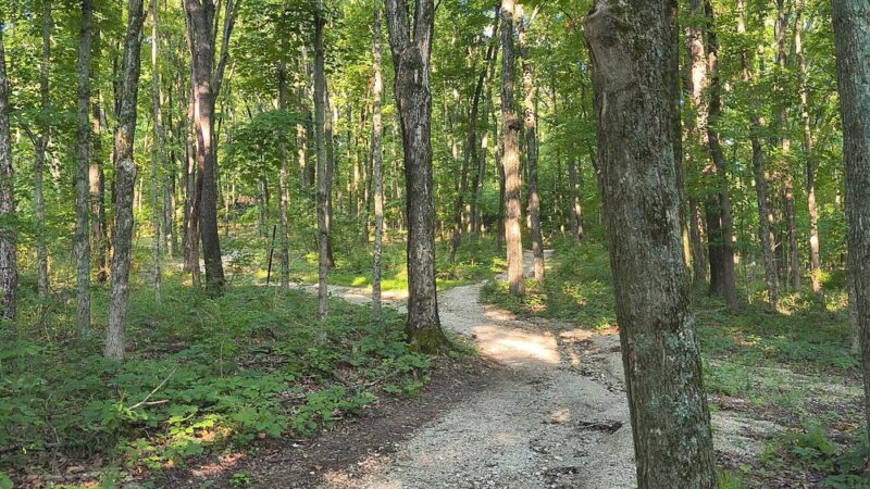 Pleasant Valley Nature Preserve - High Ridge, MO