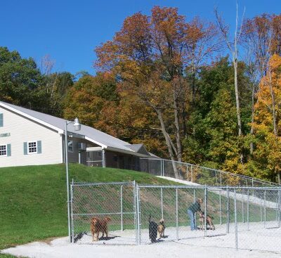 Top of the Hill Kennels - Highgate Center, VT