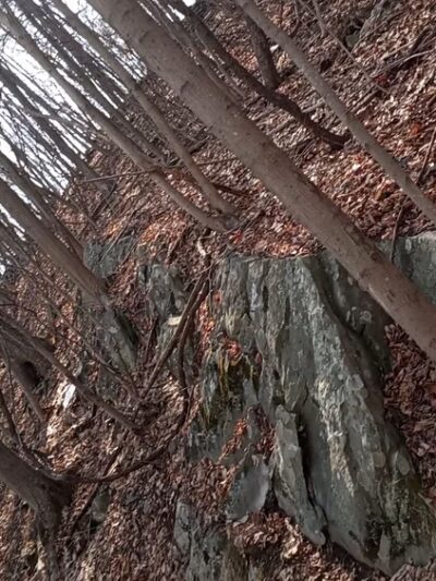 Franny Reese State Park - Highland, NY