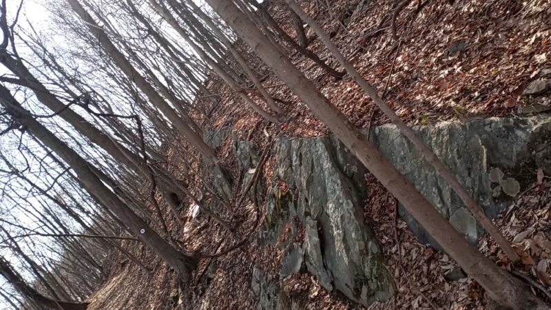 Franny Reese State Park - Highland, NY