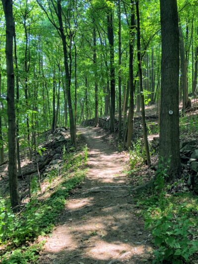 Franny Reese State Park - Highland, NY