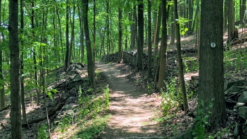 Franny Reese State Park - Highland, NY