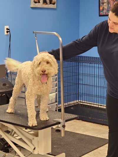Highland Pet Resort Inc. - Highland, NY