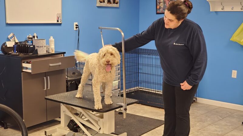 Highland Pet Resort Inc. - Highland, NY
