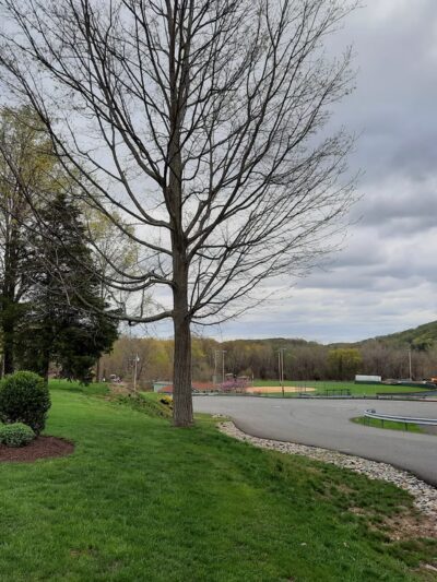 Tony Williams Town Park - Highland, NY