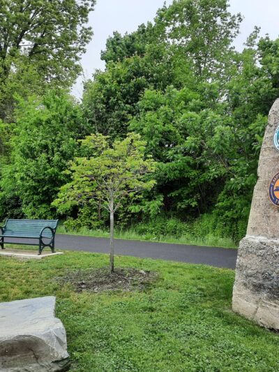 Tony Williams Town Park - Highland, NY