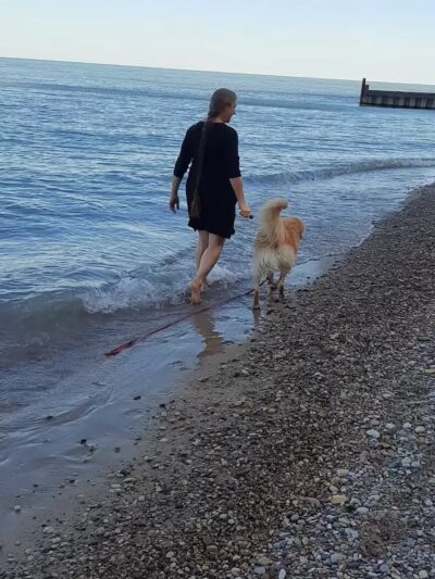 Moraine Beach - Highland Park, IL