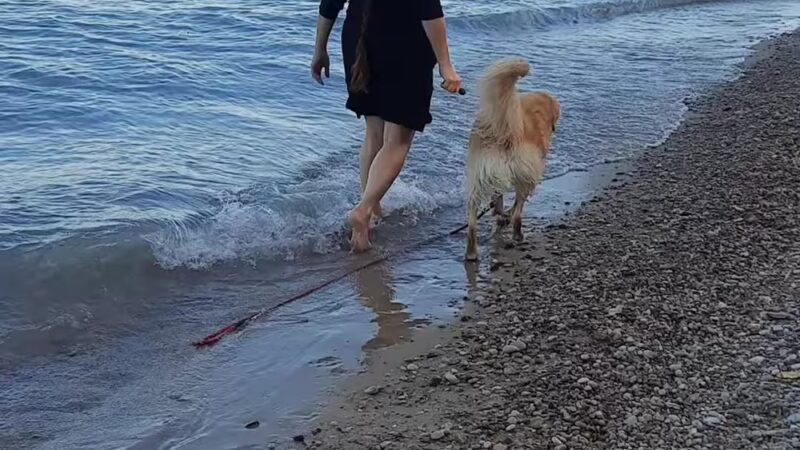 Moraine Beach - Highland Park, IL