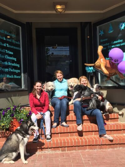 Barks on Bay Dog Grooming Salon - Highlands, NJ