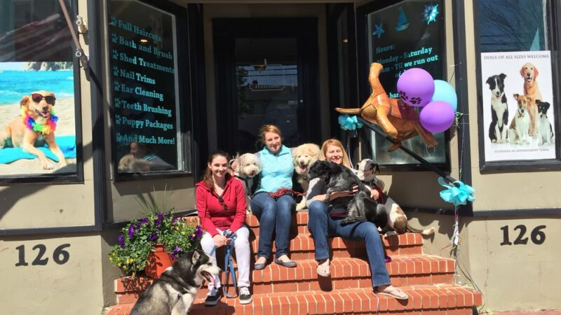 Barks on Bay Dog Grooming Salon - Highlands, NJ