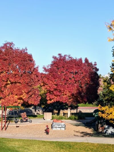 Cougar Run Park - Highlands Ranch, CO