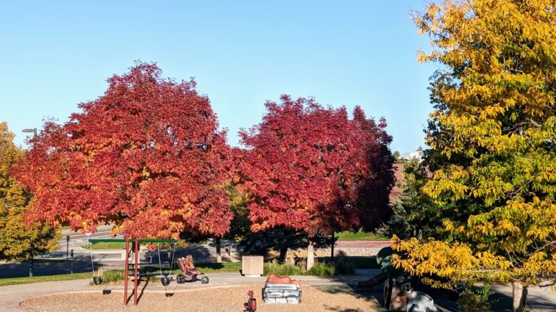Cougar Run Park - Highlands Ranch, CO