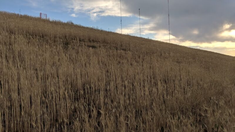 David A. Lorenz Regional Park - Highlands Ranch, CO