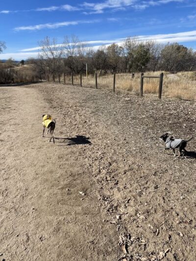 Fido's Field at Foothills Park - Highlands Ranch, CO