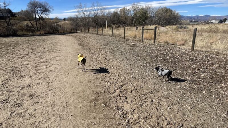 Fido's Field at Foothills Park - Highlands Ranch, CO