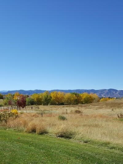 Fido's Field at Foothills Park - Highlands Ranch, CO