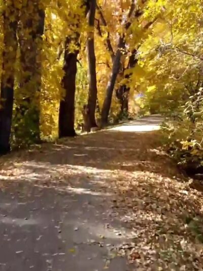 Fly'n B Park - Highlands Ranch, CO