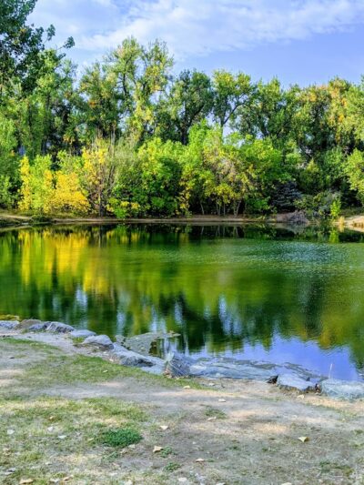 Fly'n B Park - Highlands Ranch, CO