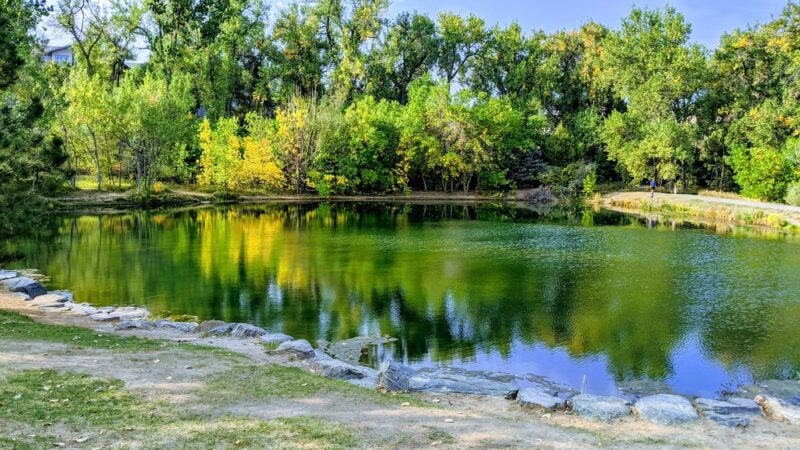 Fly'n B Park - Highlands Ranch, CO