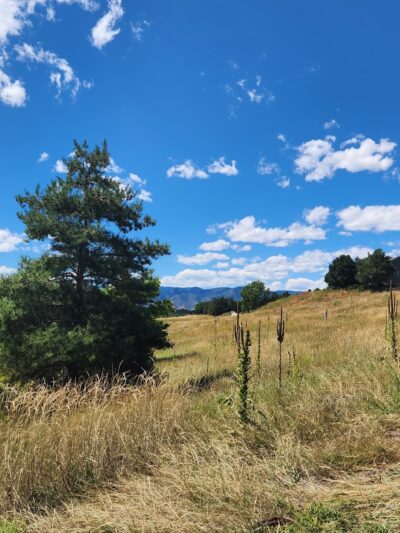 Foothills Park - Highlands Ranch, CO