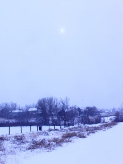 Foothills Park - Highlands Ranch, CO