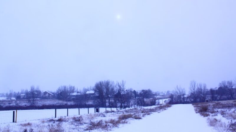 Foothills Park - Highlands Ranch, CO
