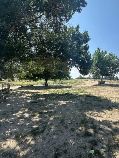 Hound Hill Dog Park - Highlands Ranch, CO