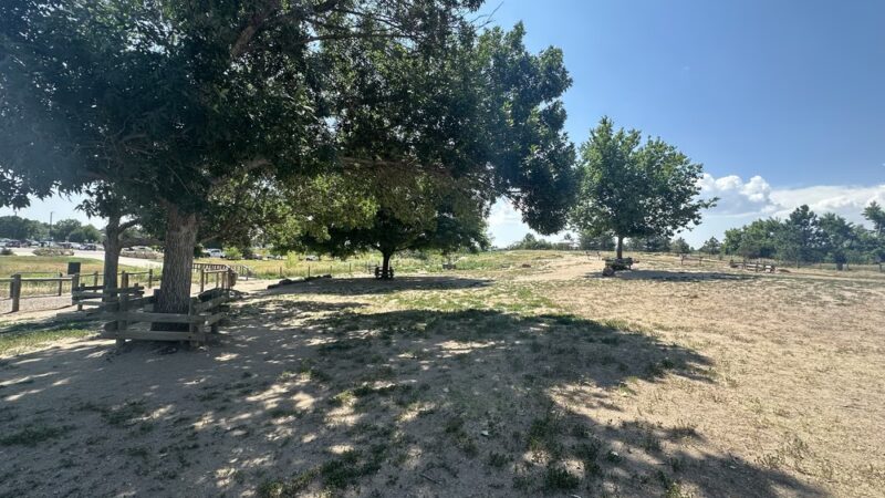 Hound Hill Dog Park - Highlands Ranch, CO
