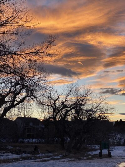 Hound Hill Dog Park - Highlands Ranch, CO