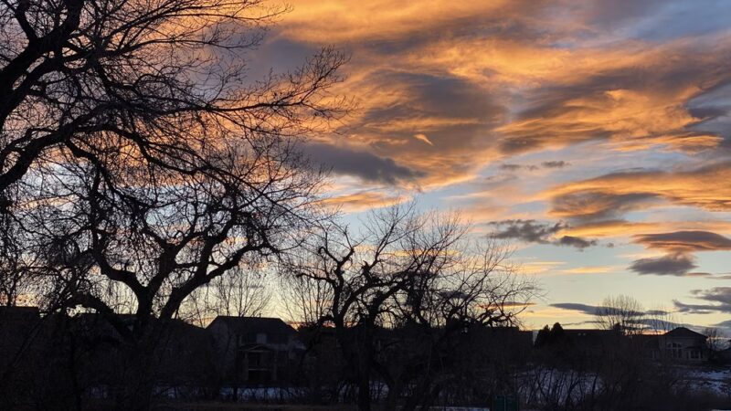 Hound Hill Dog Park - Highlands Ranch, CO