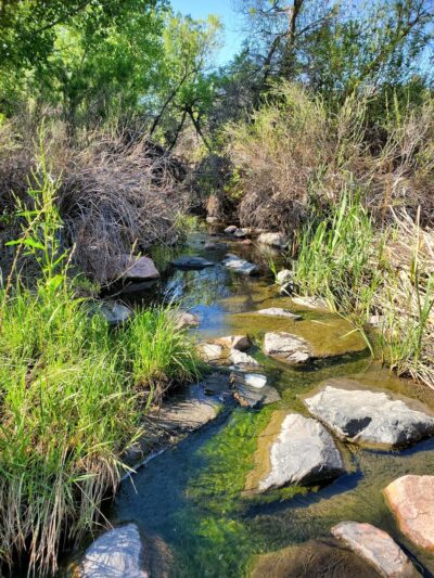 Marcy Park - Highlands Ranch, CO
