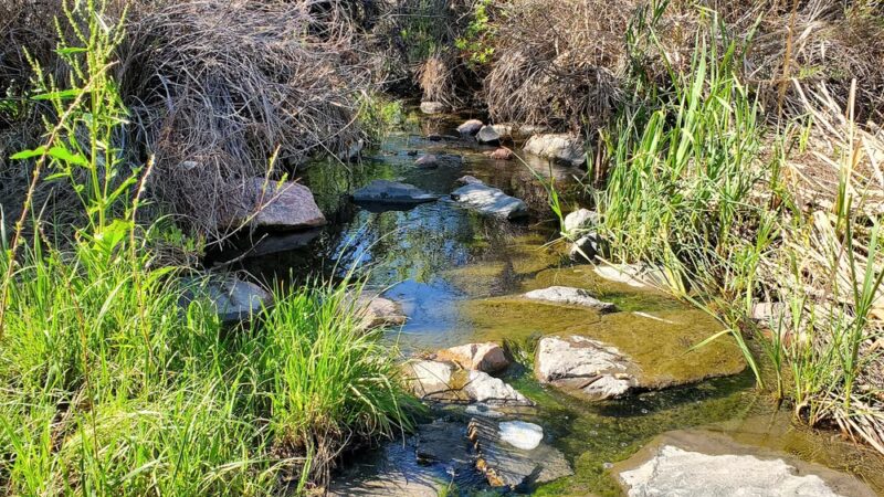 Marcy Park - Highlands Ranch, CO