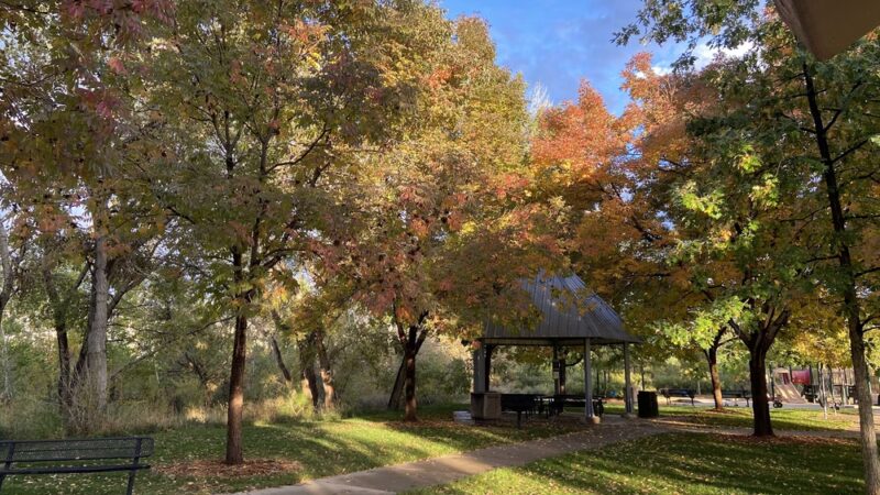 Marcy Park - Highlands Ranch, CO