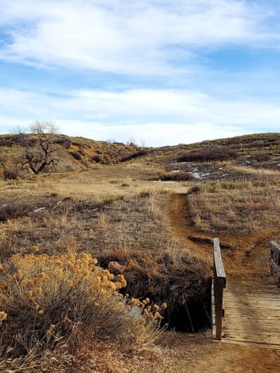 Northridge Park - Highlands Ranch, CO