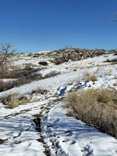 Northridge Park - Highlands Ranch, CO