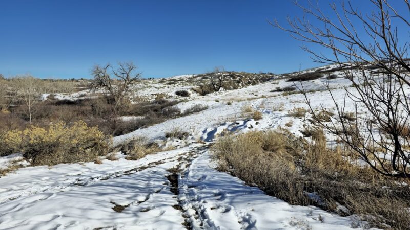 Northridge Park - Highlands Ranch, CO