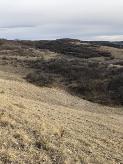 Red-Tail Park - Highlands Ranch, CO